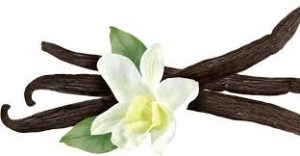 वैनिला एसेंस क्या है ? what is Vanilla Essence in Hindi